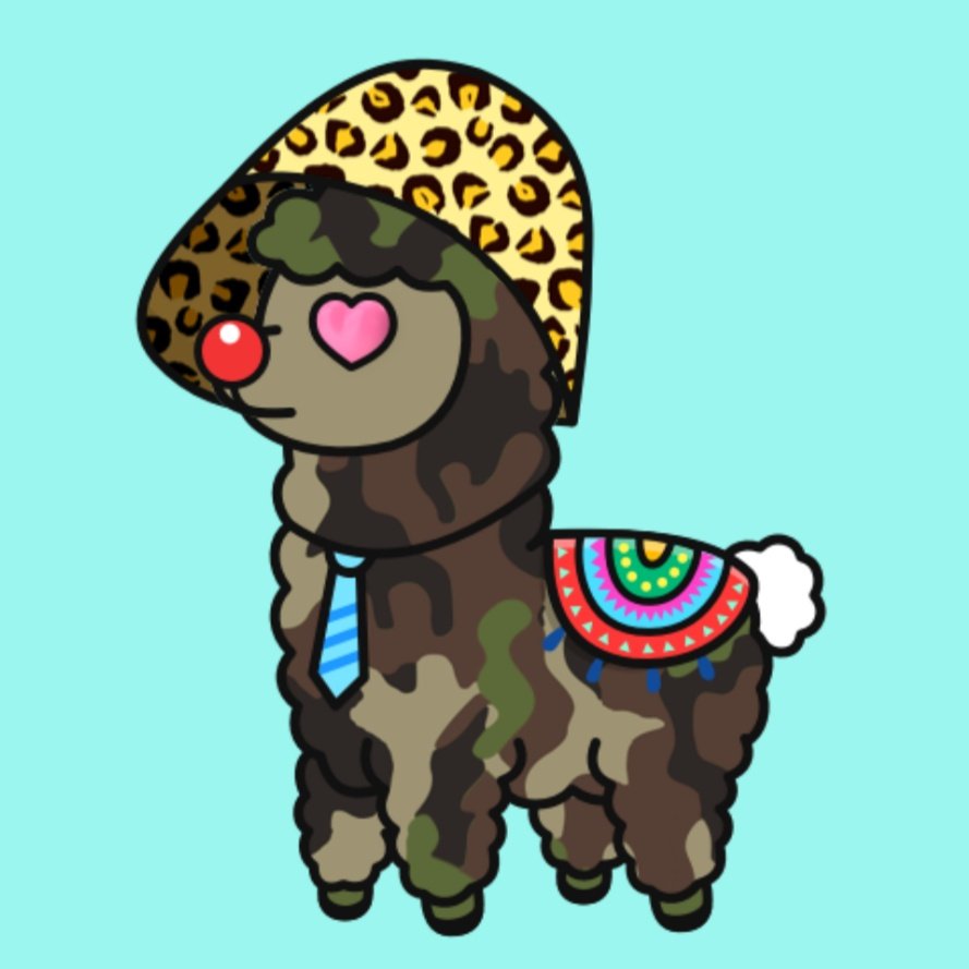 Judo.SOL tweet media