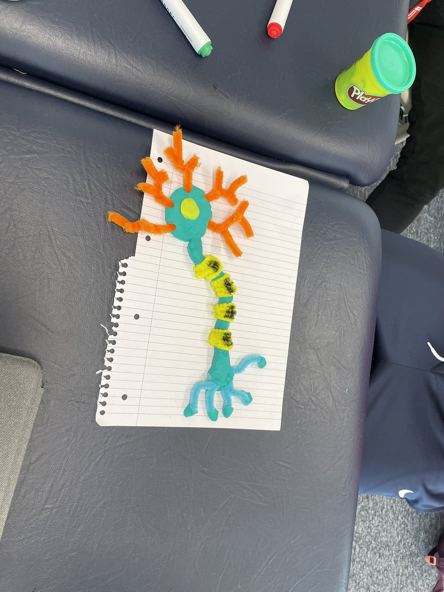 RachelMorrisLo1's tweet photo. First face to face neuro session for @UniNhantsPhysio Sep21 cohort. Bringing neuro anatomy to life, getting creative #playdoh #acting #drawing all in the aid of #neurons #circleofwillis #neuroplasticity #clinicalapplication https://t.co/WnJEsW6vJi