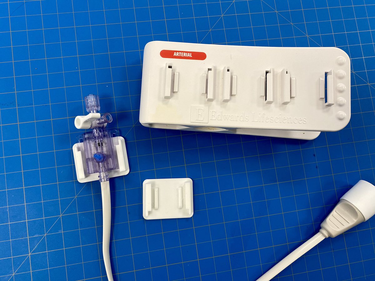 Rose Hedges tweet media