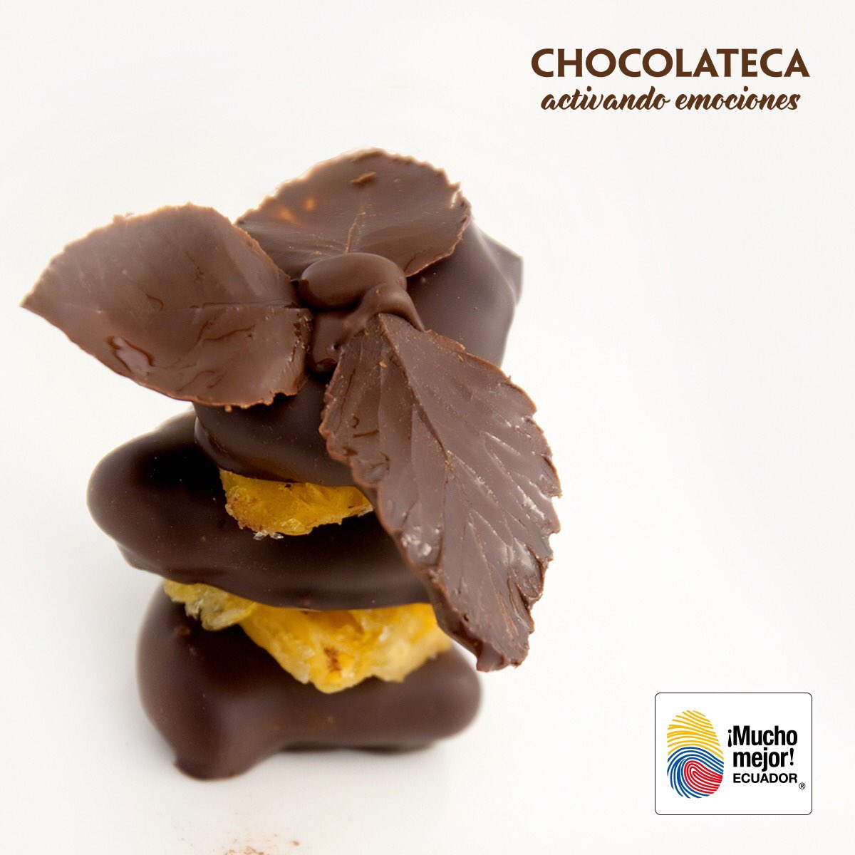 Disfruta los mas deliciosos chocolates en #DíadelOrgulloEcuatoriano #lachocolateca
