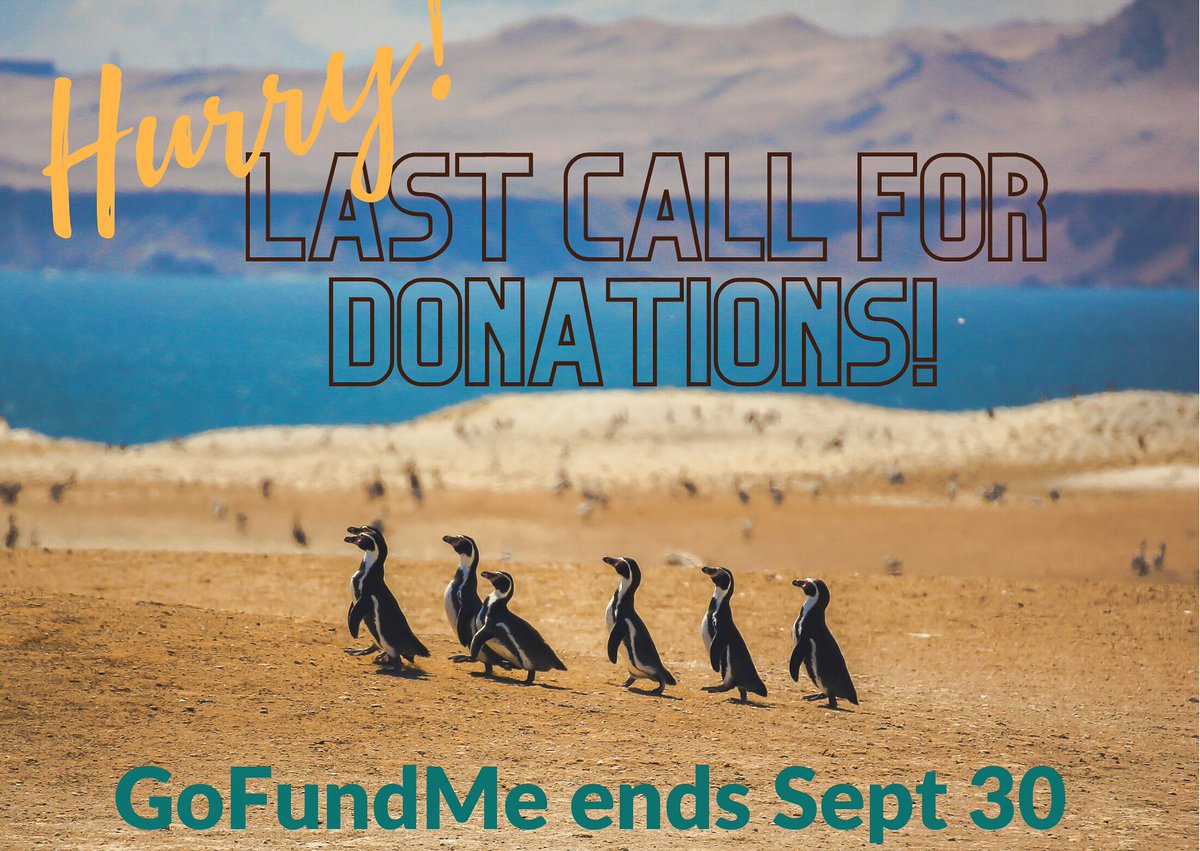 🎉 We’re in the final stretch of our fundraising campaign to build a new base camp in #PuntaSanJuan. 
We’re only $5000 away from reaching our goal. Donations can be made until this September 30. Big or small, each donation will help.
👇You can donate here: tinyurl.com/myatmhby