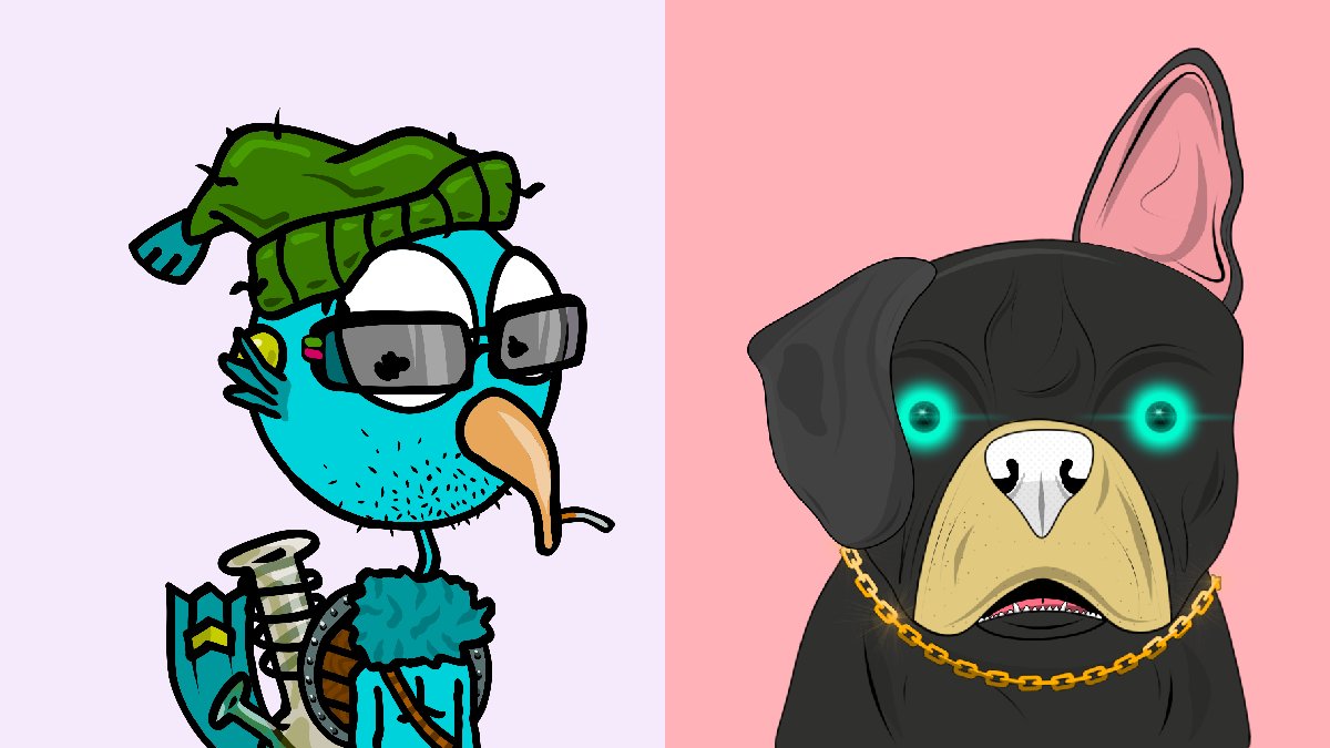 🚨Collaboration NFT Giveaway🚨
DogsOnTheChain🐶🤝🐦 DerpBirdsNFT

Enter for a chance to win a DerpBird and a Doggo
 
1. Like and tag 3 friends 🗣️
2. Follow @DerpBirdsNFT and <a href="/DogsOnTheChain/">Dogs On The Chain | Cardano NFTs</a>
3. Retweet 🔃

The lucky winner will be announced 09/29 Good Luck 💯