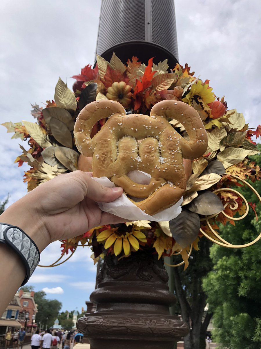 WibblyWaffle's tweet photo. New Pumpkin Coach wreaths! Oops they missed one 🎃🐭🙃 https://t.co/12QiBhJ3Ig