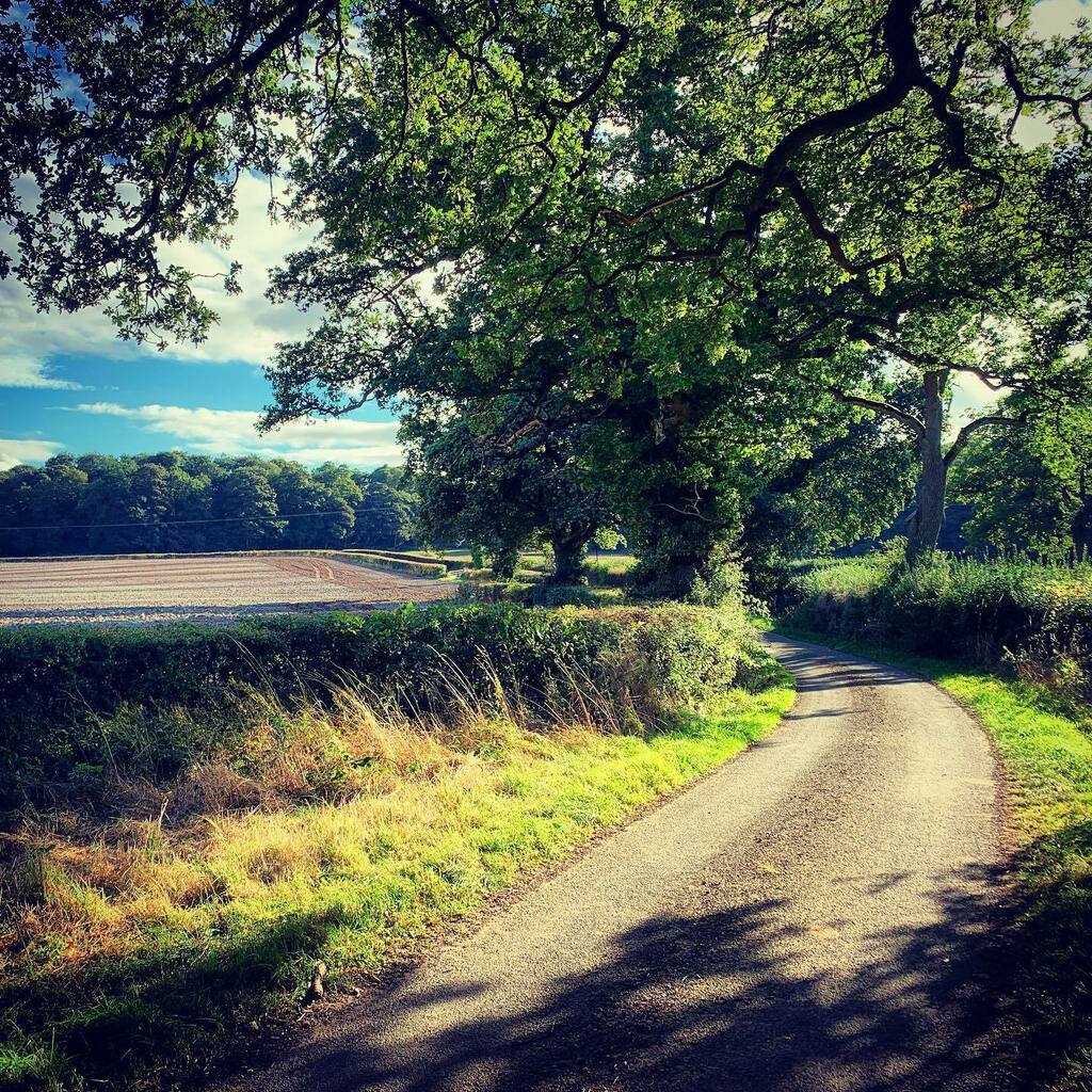 Prof. Ed de Quincey tweet media