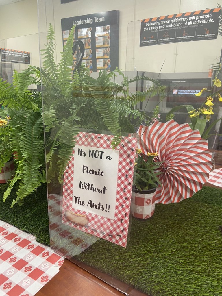 Cynthia Foster tweet media