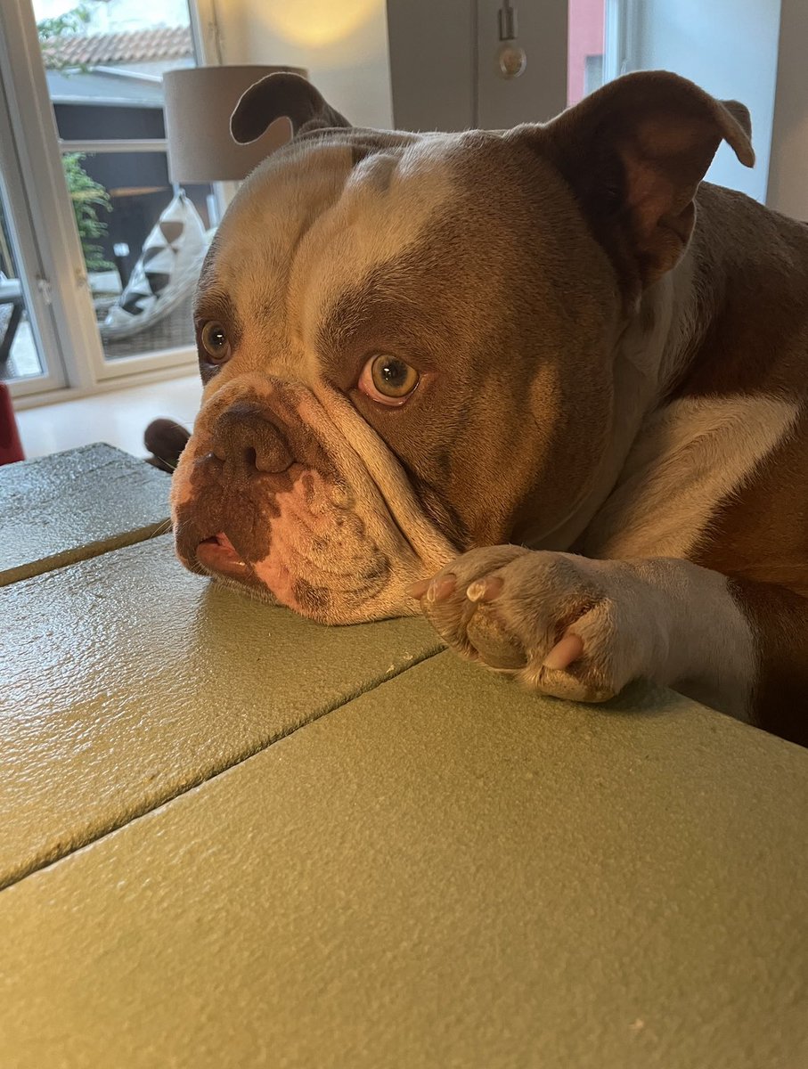 Frank og jeg har lige binget alle afsnit af #gvfb og vi er TOTAL enige om, at Jonna og Gabys forhold er helt gak🤯 #tueogtonystvklub