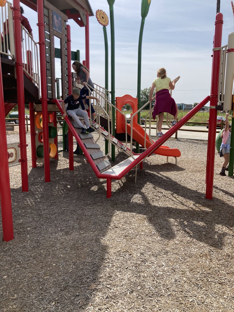 StacyFRobison's tweet photo. Burning some energy off at the playground. The yelling, screams, & giggles are an indication that this is a fun space @ColumbiaUrbanAg! #scholarsfirst #cpsbeat https://t.co/4ax5HHjHhI