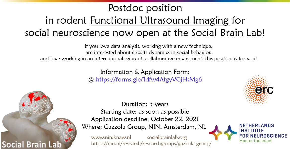 We are looking for two new lab members! 🔥

1) Postdoc in human social decision making and brain stimulation (1-2 years) 🧠🧲 Deadline 31. Oct!

2) Postdoc in rodent functional ultrasound imaging (3 years) 🐀 Deadline 22. Oct!

More information on the flyers ⤵️ Please share!