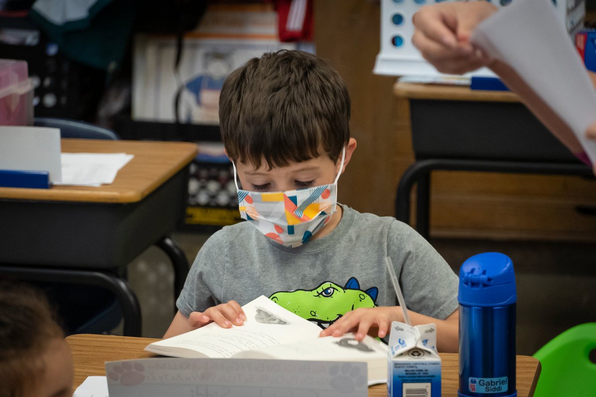 ccsdschools's tweet photo. Our Bardonia Bobcats are reading as one! Today the building kicked off its annual #OneBookOneSchool event with #OneAndOnlyIvan. Over the next month families, teachers & staff will explore the story together for this special community building activity.
@kaaauthor @Ms_Zernone https://t.co/5SnrxUFBFY