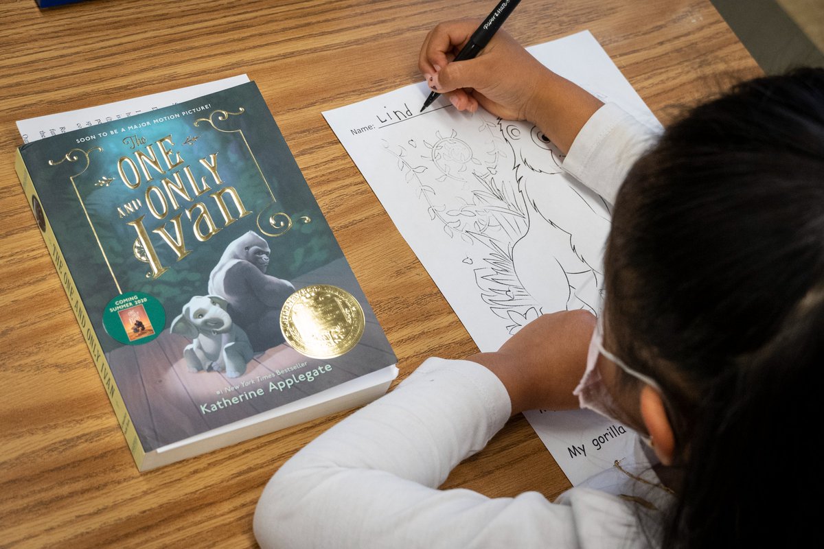 ccsdschools's tweet photo. Our Bardonia Bobcats are reading as one! Today the building kicked off its annual #OneBookOneSchool event with #OneAndOnlyIvan. Over the next month families, teachers & staff will explore the story together for this special community building activity.
@kaaauthor @Ms_Zernone https://t.co/5SnrxUFBFY