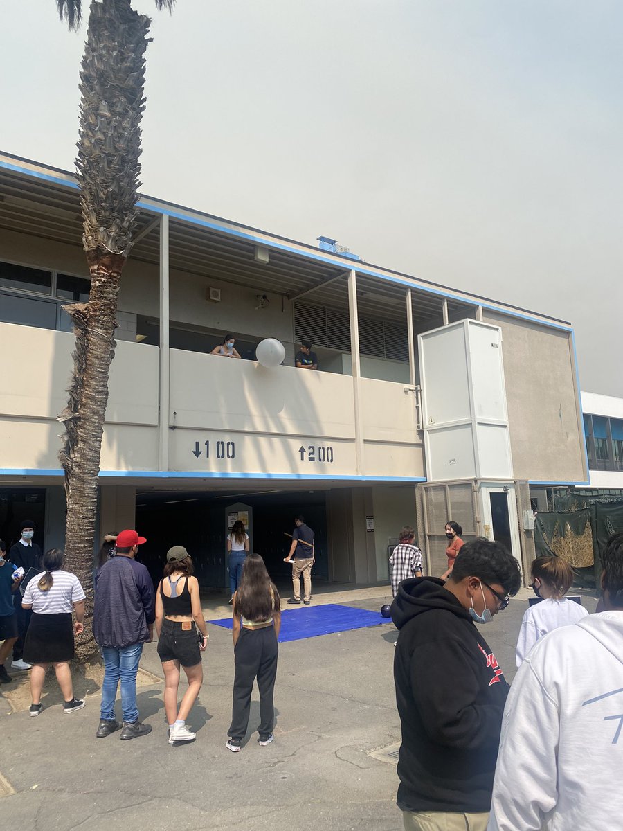 DrOsman_EDU's tweet photo. Ahhhh the #EGGDROP project 😝 A real #riteofpassage in any #science class, right? I think more than half of them survived 👏🏽👏🏽 good job Mr. Mai to you and your #conceptualphysics class 💙🖤 @VPSpartan @OrangeUnifiedCA https://t.co/lkR0KDOZMT