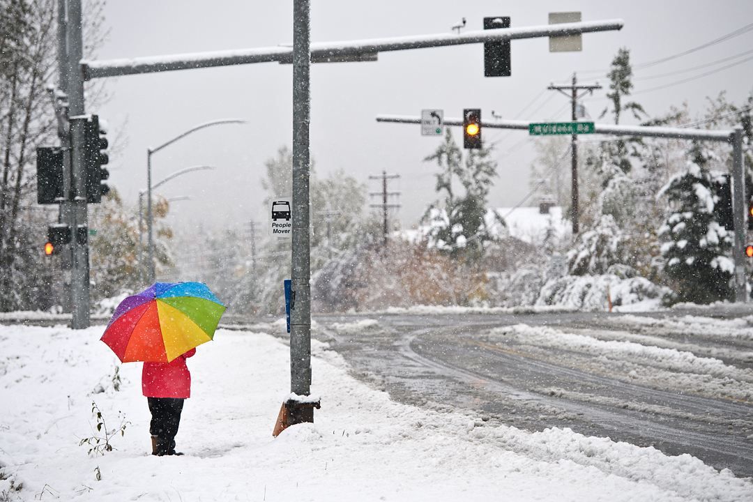 marclesterphoto's tweet photo. Scenes from Anchorage's snowy east side this morning. https://t.co/9qVm3MoyiC