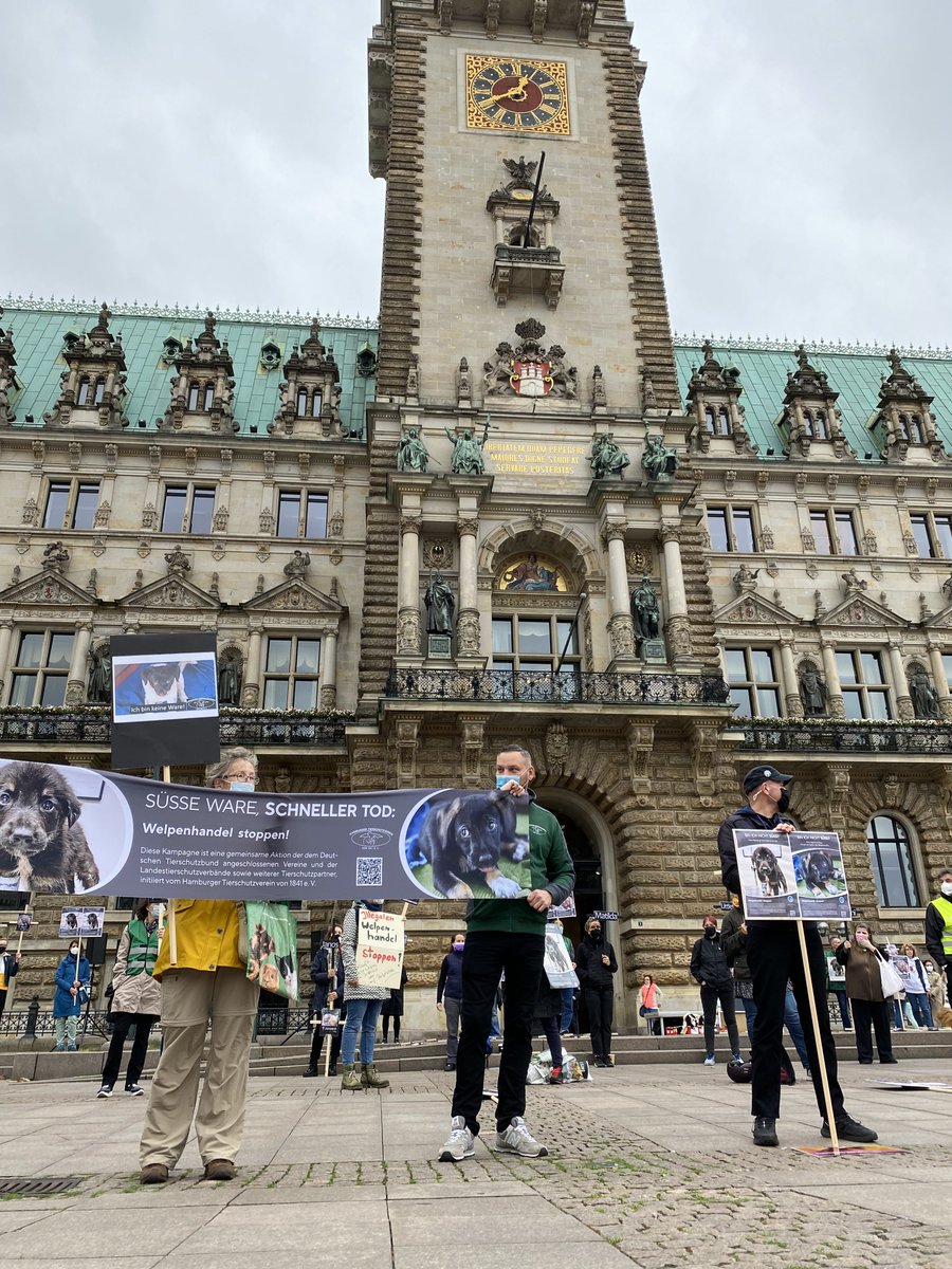 DeineTierwelt's tweet photo. Illegalen #Welpenhandel beenden: Der Hamburger Tierschutzverein lud heute zur #Mahnwache vor dem Rathaus in #Hamburg. Mehr Impressionen gibt’s auf unserem Instagram-Account: https://t.co/tK9GYaIAM7 https://t.co/xuRDd8qOLy