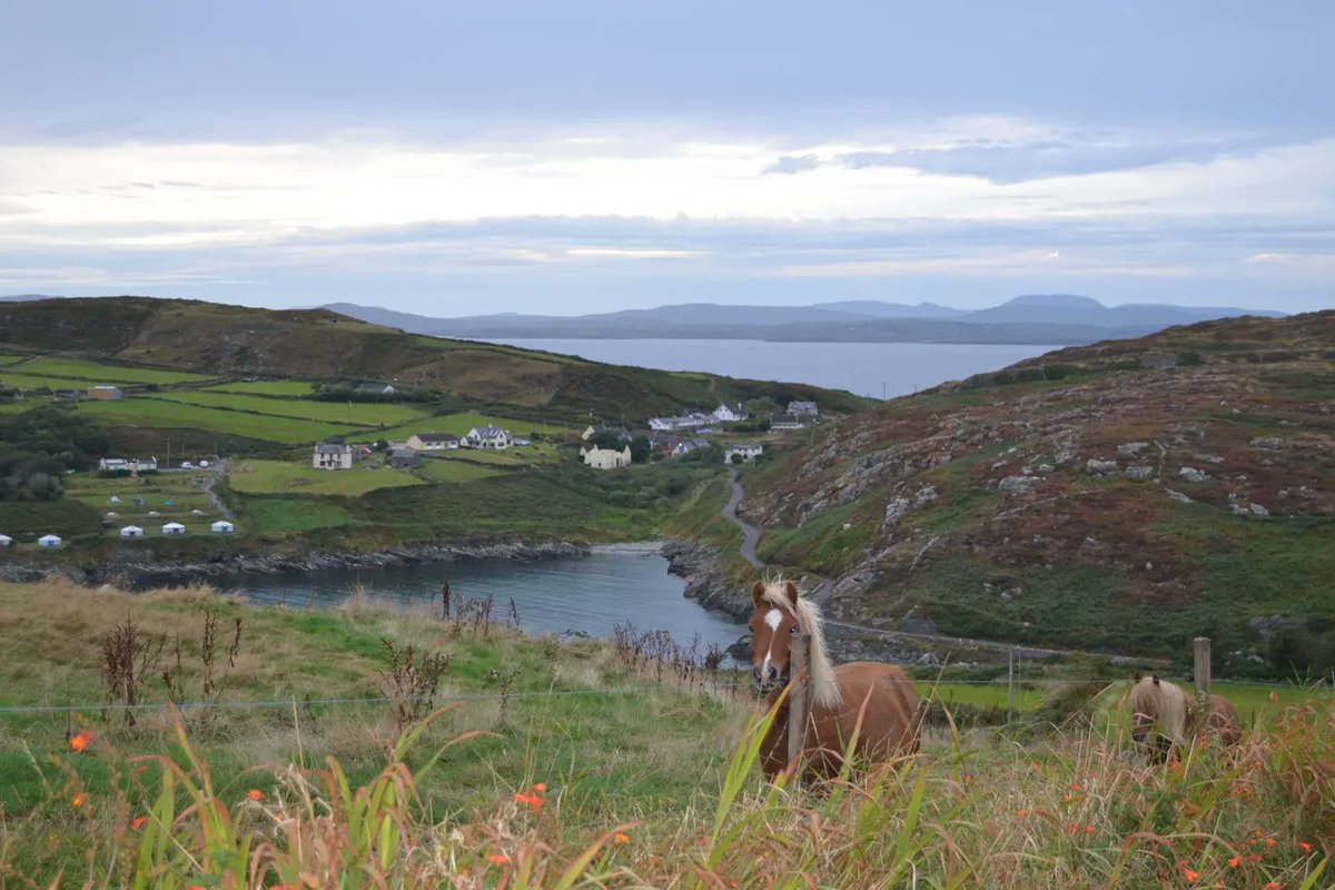 eefabeef's tweet image. View from the most southerly house  in Ireland on the lovely Cape Clear.