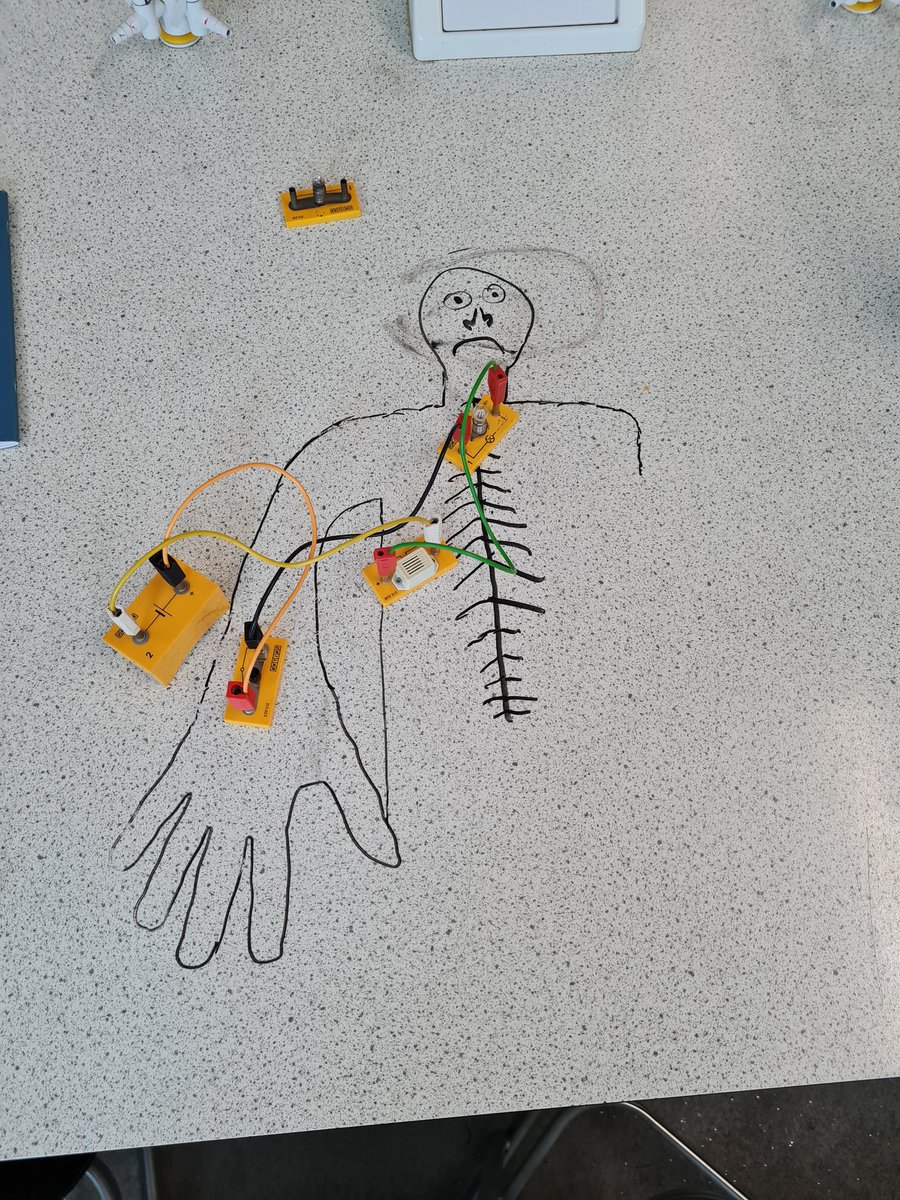 teammckenzie227's tweet photo. S3 making a reflex arc today.  They are doing amazing!  #education #edutwitter #proudteacher #biology #biologyclass #BGESCIENCE @invacad @invacadsci https://t.co/mxIWvHrh3Q