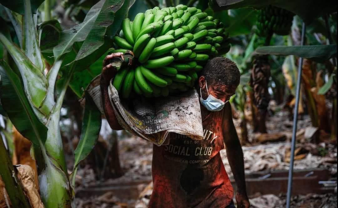 Mi gente, mi tierra, mi vida…

Todos con la gente de mi querida tierra de #LaPalma❤️
Ahora más que nunca toca consumir @platano_decanarias y productos de origen de la isla .

#micorazonestuyo #lapalma #mitierra