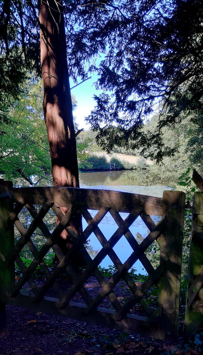 peggy_on's tweet photo. @Chidd_Castle beautiful Chiddingstone @nationaltrust village unfortunately castle (not NT) not open but still nice to wander through the village and surrounding area. @StellaBailey4 @franrayner2018 https://t.co/hYGySbcBYn
