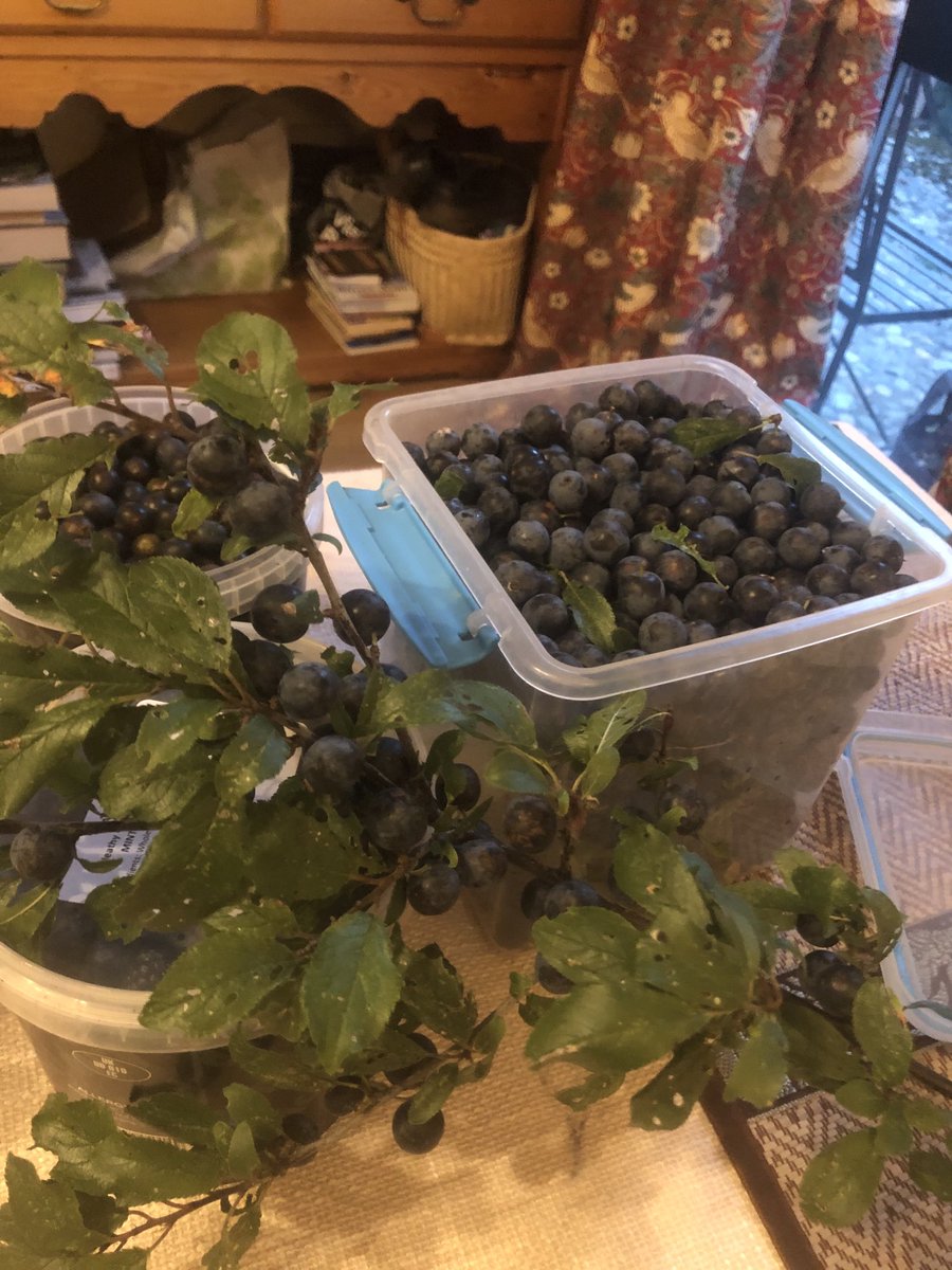 Deborah Burrows tweet media