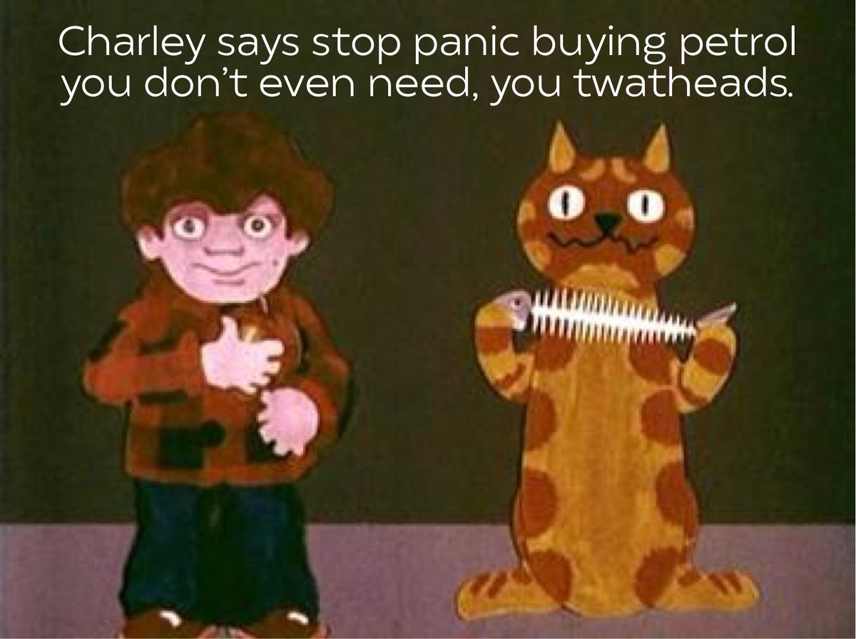 Pandamoanimum's tweet image. 