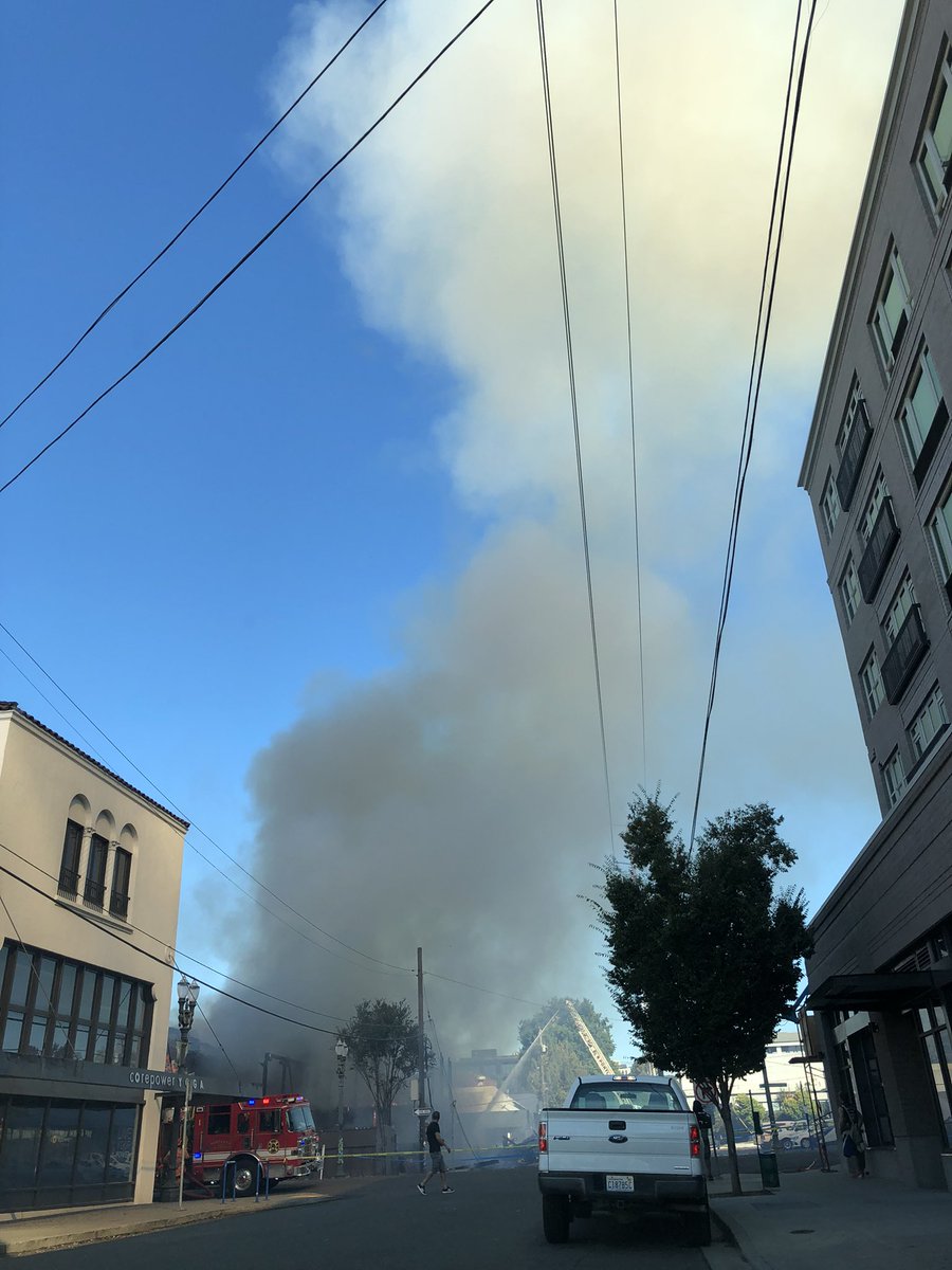 Stephanie tweet media