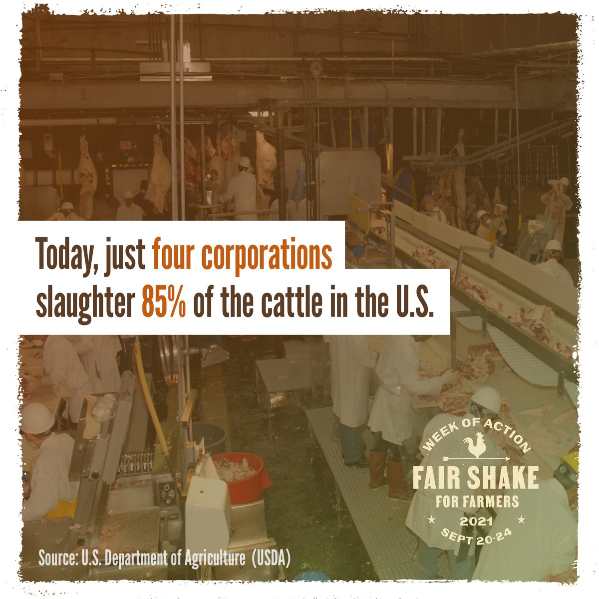 Everybody eats and everyone deserves a chance to bring healthy and wholesome food to market. Let us grow.
Fair competition for all. #FairShake