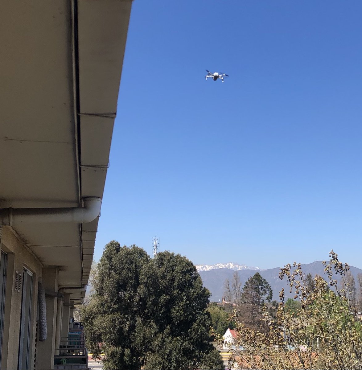 JansonCea's tweet photo. Un dron afuera de la ventana de mi domicilio.
Donde puedo poner un reclamo sobre mi privacidad?
Comentarios serios por favor.   #rancagua #alcadejrgodoy #radiorancagua https://t.co/VeXehWRpdt