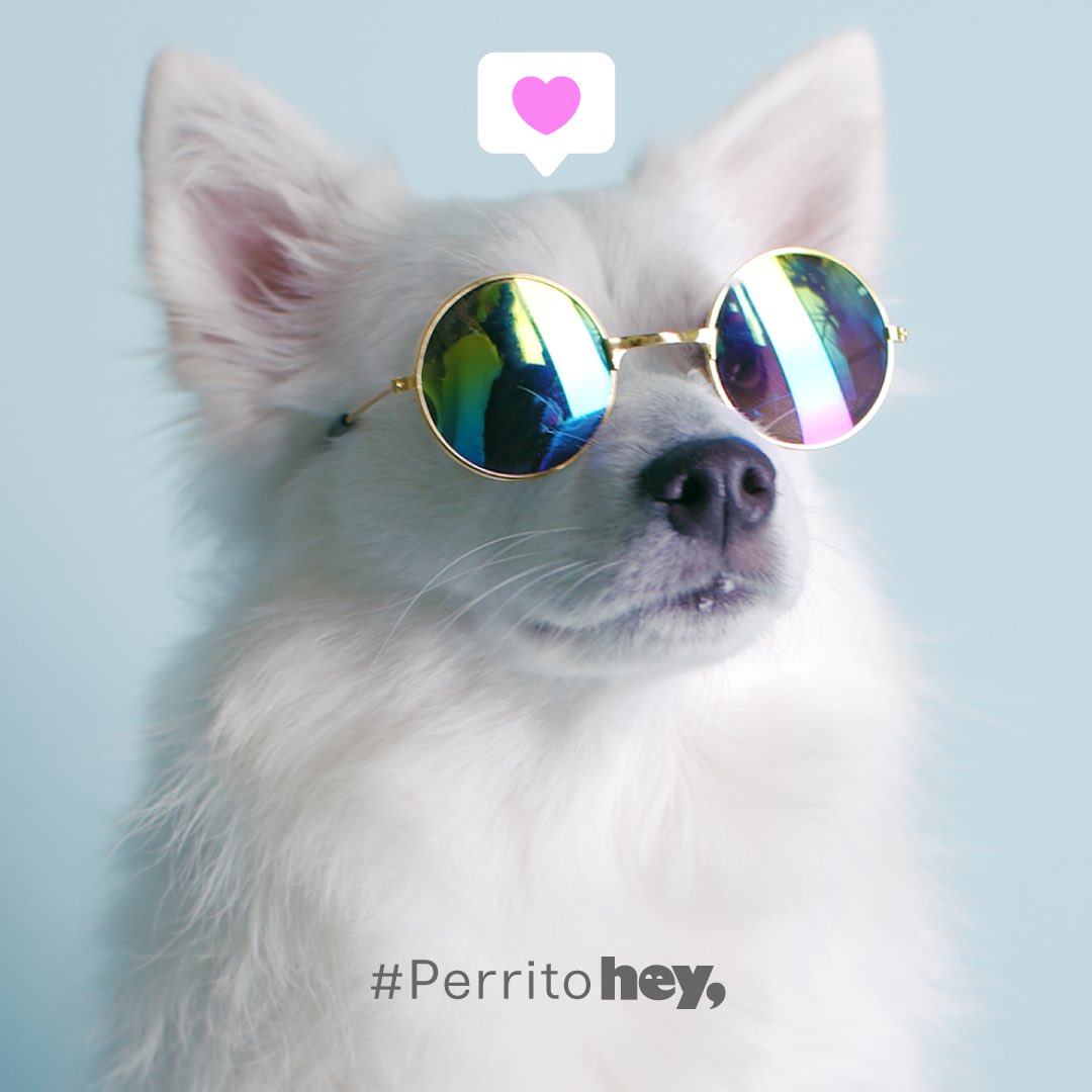 heybanco's tweet photo. Hoy es viernes y el #PerritoHey lo sabe. CuΓ©ntale, ΒΏquΓ© planes tienes para tu fin de semana? π https://t.co/JgaMehebV7