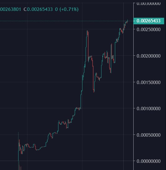 BSC 100X GEMS🚀 tweet media