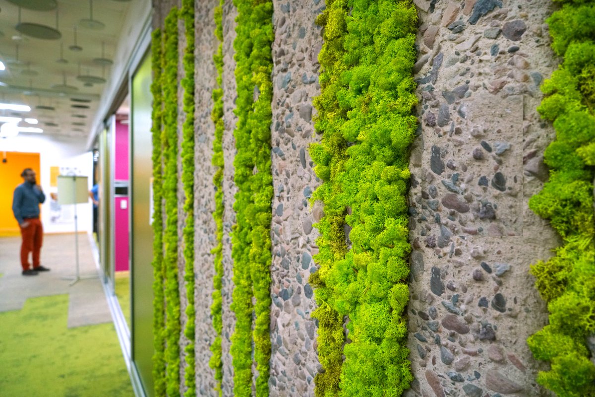 plantsolutions's tweet image. At #PlantSolutions, we create #MossyWallArt masterpieces that are unique to your specific plant designs requirements.

Don't get fooled with imitators tune in to plant solutions now.

qoo.ly/3e8h9v