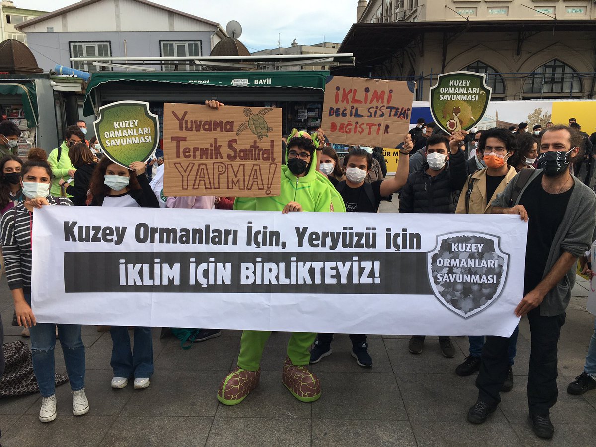 Kuzey Ormanları Savunması tweet media