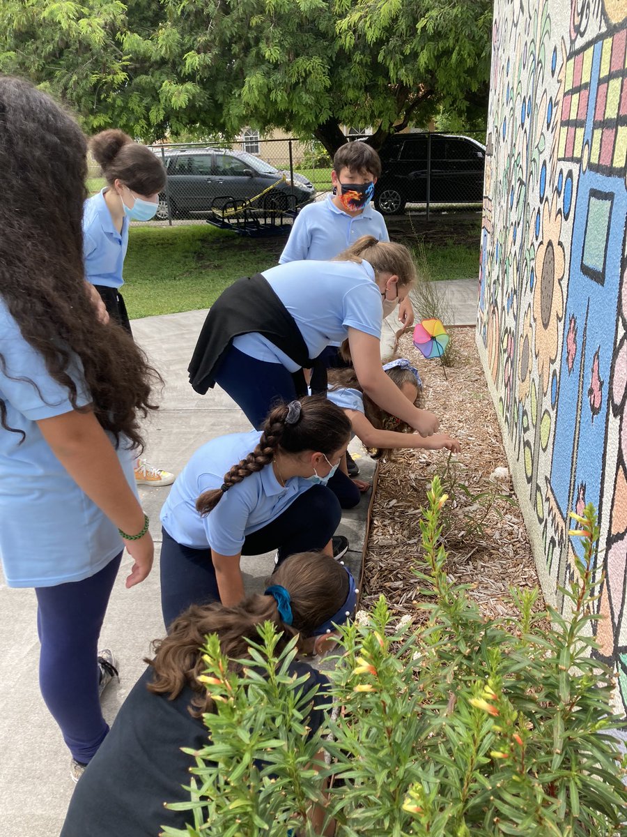 ESUSASouthFL's tweet photo. Royal Palm Elementary. Mrs. Cardona’s 5th grade class conducting a biodiversity plant &amp; wildlife count for the Schoolyard Habitat audit. They are going for the Eco-School USA Green Flag this year! https://t.co/EqbzRMicln