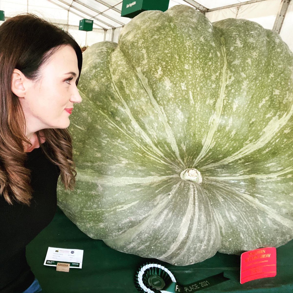 Huuuuuge veg! Best job in the world!