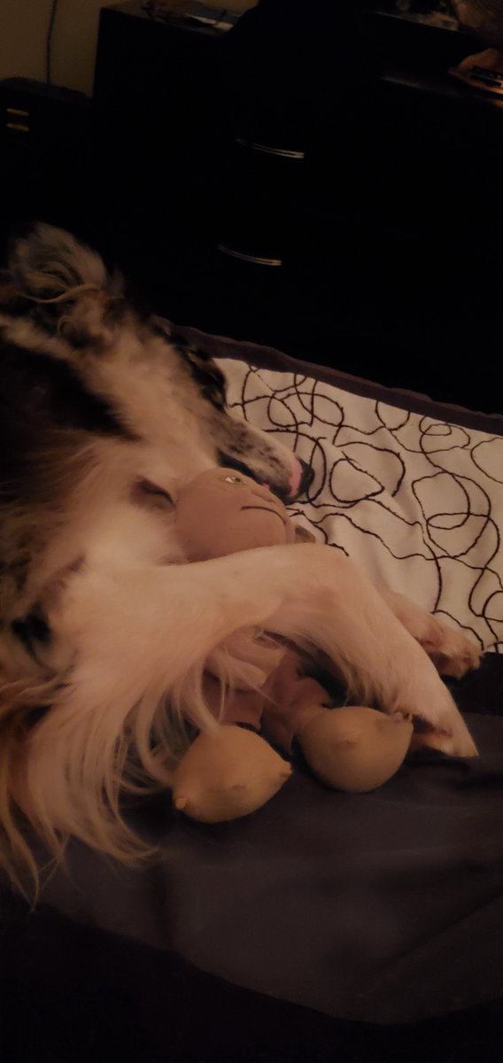 Colin gallant tweet media