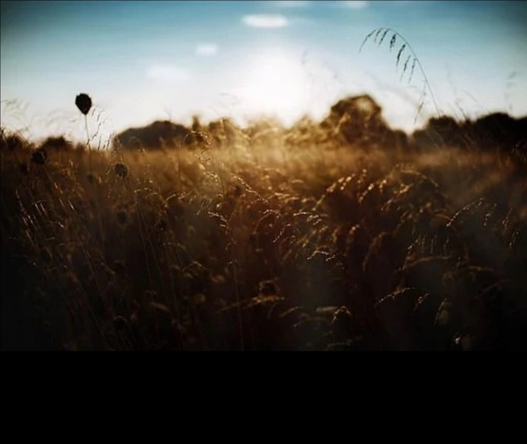 ¿Cómo estuvo su semana post 18?🥱💪🏻

Sigamos celebrando porque hoy llega el conocido "18 chico", fecha que los chilenos disfrutamos para alargar lo que son nuestras celebraciones de Fiestas Patrias🎉🇨🇱
.
#fiestaspatrias #campo #tradiciones #cultura #chile