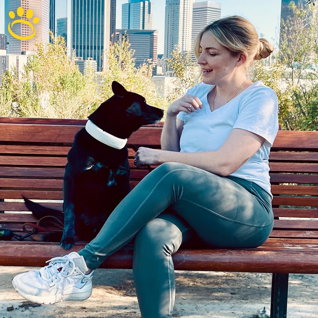 HaloCollar's tweet photo. It is such a great time to get outside and go-anywhere with Halo! 🐾 
.
.
.
.
#halocollar #halo #halocollars #trainyourdog #smartfence #dogcollar #noleashlife #dogtrainingtips #cesarsway #positivetraining #invisiblefence #offleash #dogislove #betterhumansbetterplanet https://t.co/4FytPwvPfW