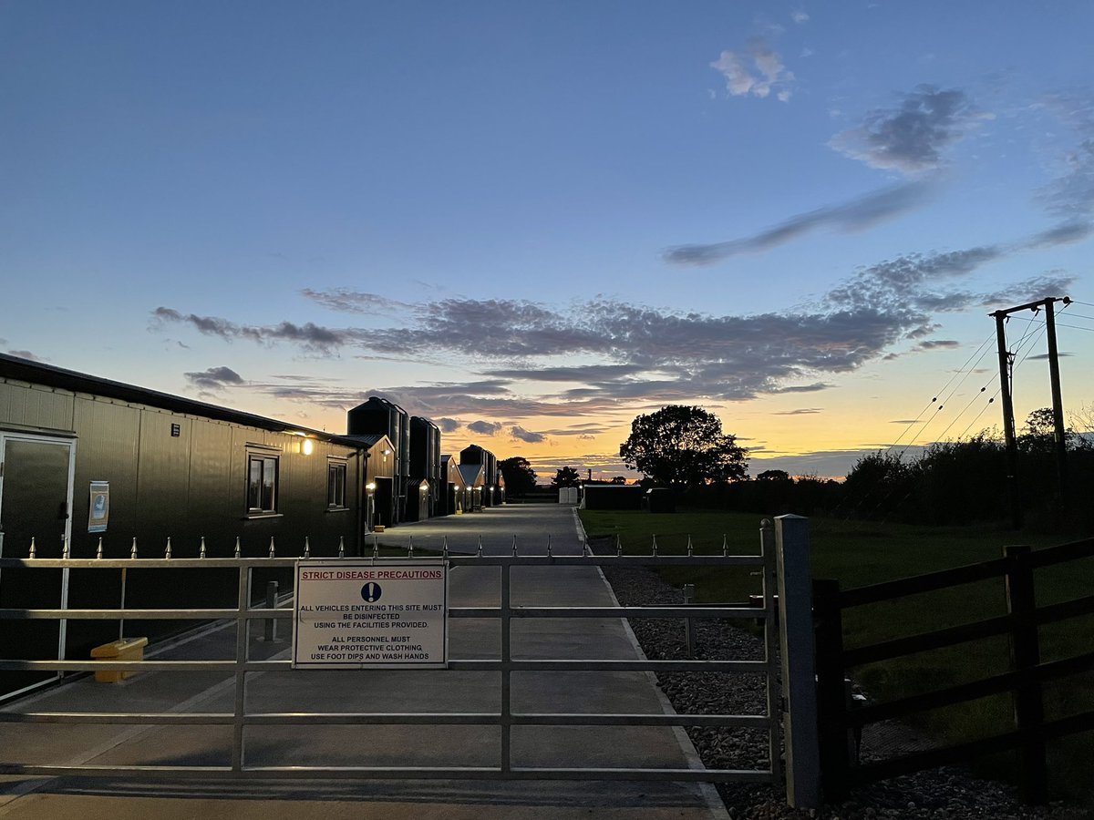 Elms__Farm's tweet image. Good evening to everyone from all of us at Elms Farm. #autumn #sunset #farm #agriculture #poultryfarm
