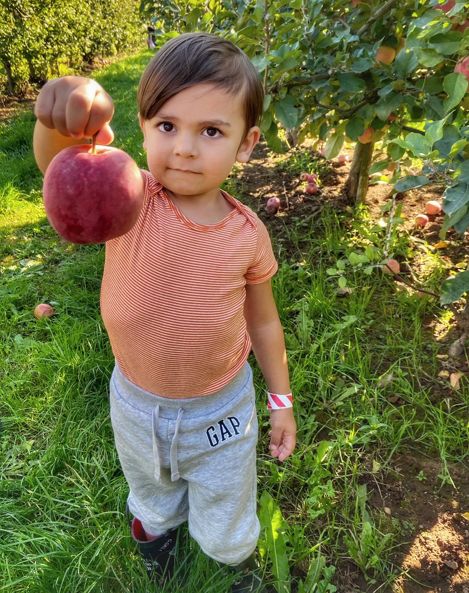 Adrian Brijbassi tweet media