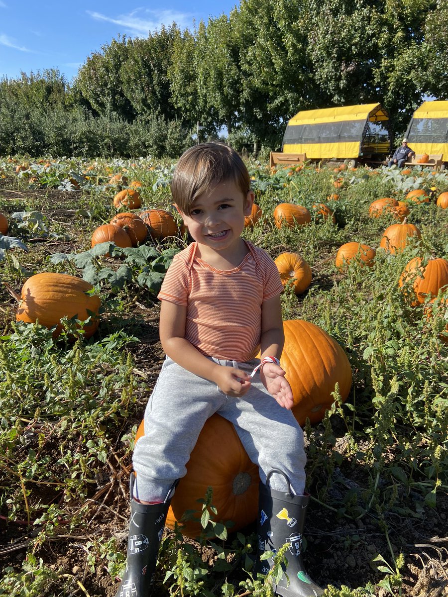 It’s that time of year — apples, pumpkins, hayrides, fall fun and pre-Halloween festivities are calling you to B.C. farm country! #exploreabbotsford