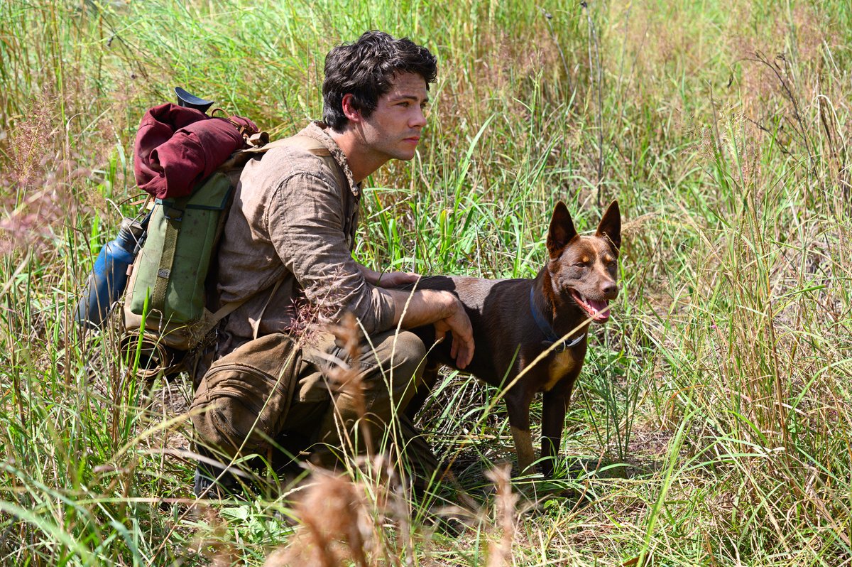 Dylan O'Brien + friendly canine