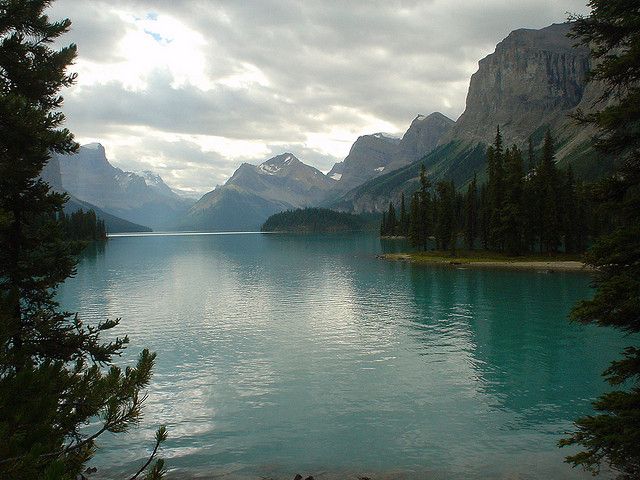 CRAT_Operators's tweet image. Tour Operators have been given the opportunity to make a difference.  Discovery Islands is heaven on earth, we want it to be perfect for everyone.  Cleaning Shores is part of the process. @City of Campbell River Economic Development #cleanshores #destinationbc
