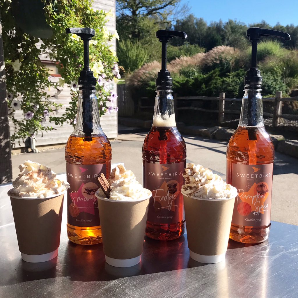 HOT DRINK SPECIALS
☕️ S’mores Hot Chocolate
☕️ Hot Fudge Brownie Mocha
☕️ Pumpkin Spiced Latte 
Which will you try first?
#bedgeburycafe #bedgebury #forestryengland #outinkent #outinsussex #sussex #kent #itstheweekend #hotdrink #hotdrinkspecials #latte #mocha #hotchocolate