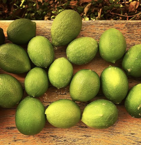 mcsundberg's tweet image. When life gives you lemons, make… lemon mousse 😋😋
.
Recipe on FB / IG and the Blog
Read on marie-chantale.com/light-lemon-mo…
.
Bon appétit!
.
#foodiescorner #homemade #homemadesnack #lemonmousse #marishasblog