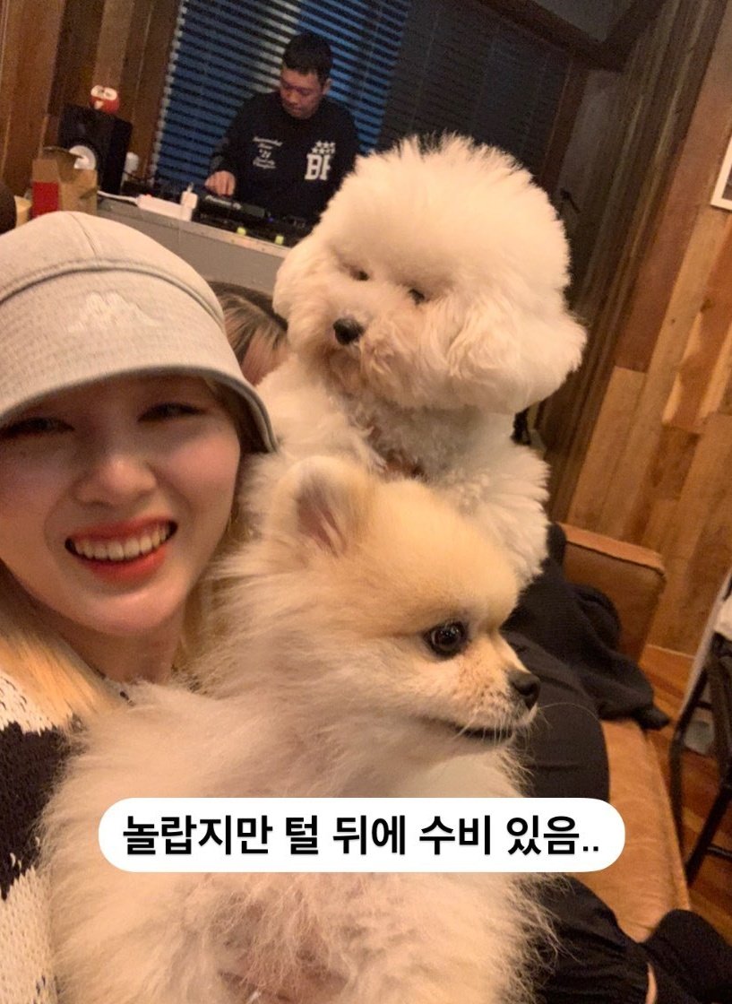 ashbgallery's tweet photo. #애쉬비 + dogs is the cutest thing ever. <3 https://t.co/r0LV4etKoB