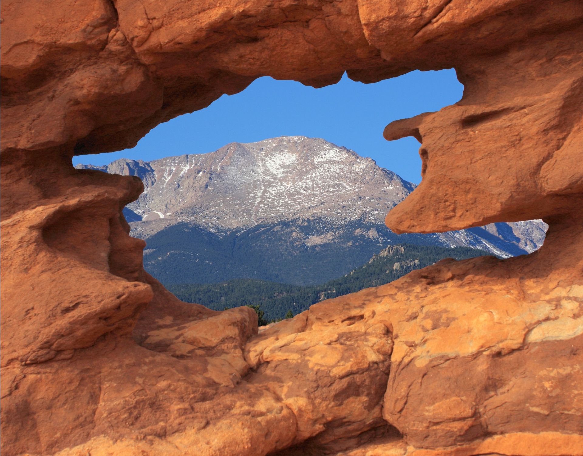 Tanner Gun Show Tannergunshow Twitter