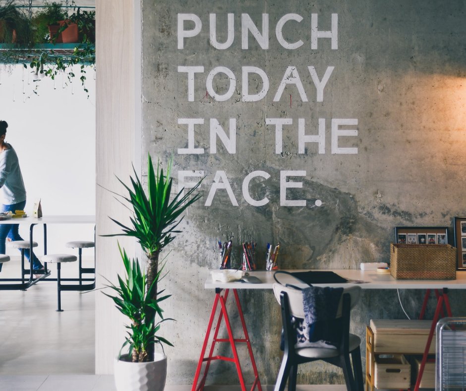 DailyJava1's tweet photo. Coffee shops have the best signs 😏
📸 via Unsplash
#dailyjavaco #coffeeshopsigns #coffeeshop #coffeecommunity #coffeesesh #coffeemagazine #coffeebean #coffeegeek #coffeeshots #coffeeporn #coffeeshop #barista #cafelife #caffeine #coffeeaddict #coffeegram https://t.co/ToauFRgycA