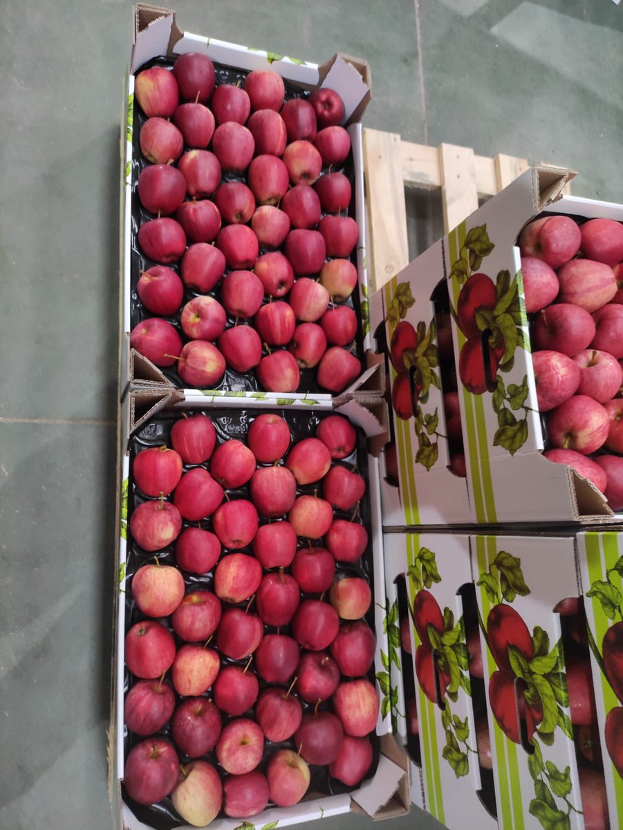corefresh1's tweet photo. #RoyalGalaApple 

#NewSeason fruits on the way to CoreFresh 

Place order for delivery to your warehouse in UK on Monday 27/09 sales@corefresh.co.uk 

#RoyalGala #Apple #RedApple #Poland #FreshFruit #SweetFruit #CoreFresh #UnitedKingdom #HealtyFruit #NewSeason https://t.co/EJzMejKpsE