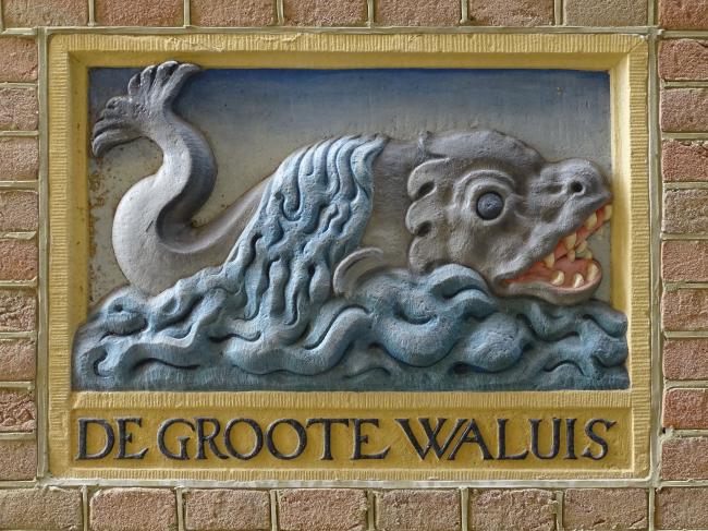 @collectievisse @museummedia_nl @rijksmuseum 'De #gevelsteen Groote Walvis' was de naam van een traanpakhuis dat in 1609 in de Elleboogsteeg no. 14 gebouwd werd.
 
Walvistraan werd uit het spekvet gekookt en in de 17de eeuw meestal gebruikt voor lampolie en zeep.
#collectievissen  naar 
#GROOT in dit voorjaar herplaats🐳