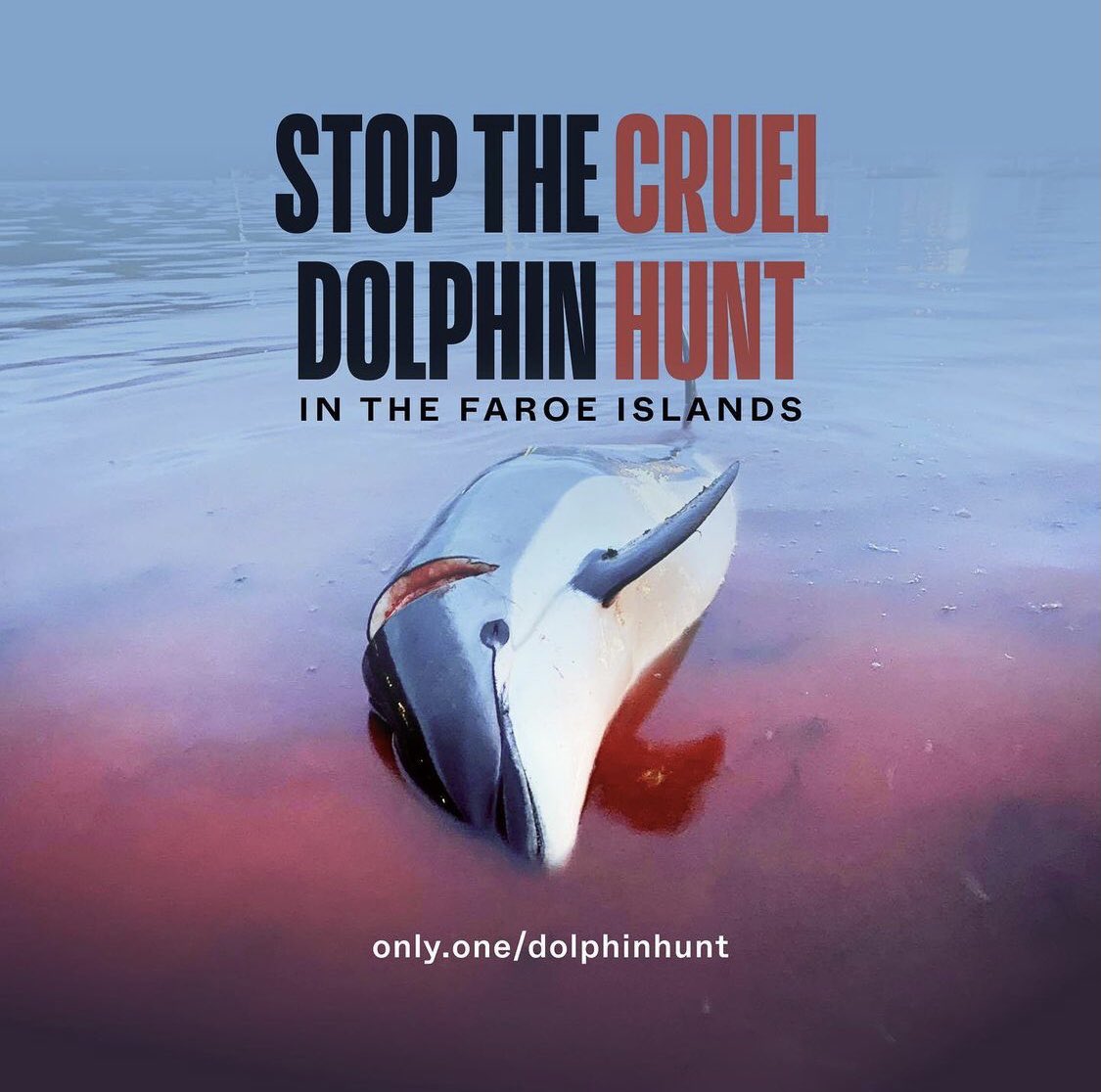 If you find this ‘hunt’ as disgusting as I do, please sign this petition: only.one/act/dolphinhunt