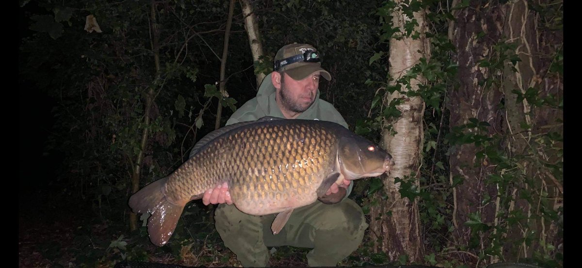 Infantrycarpers tweet media