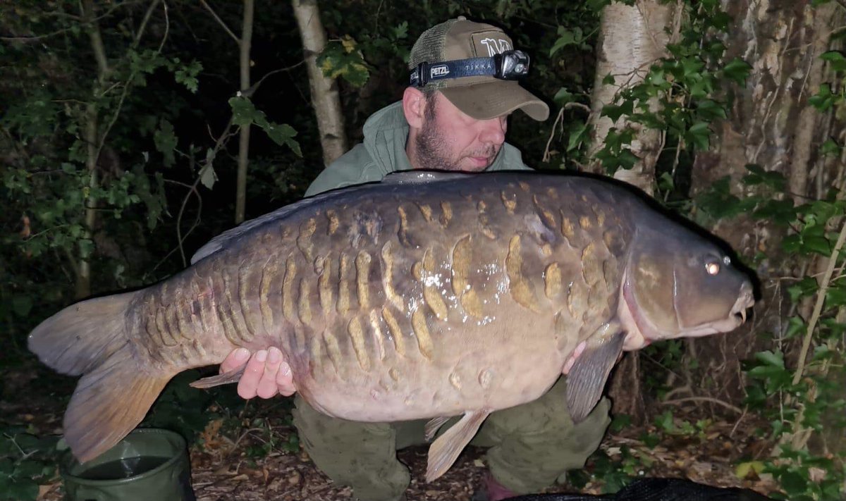Infantrycarpers tweet media